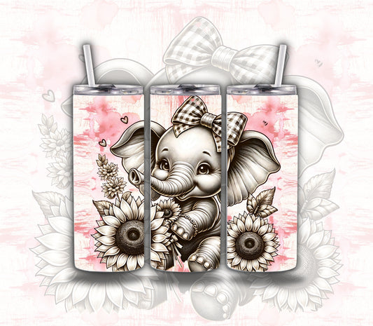 Baby Elephant